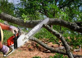 Best Commercial Tree Services  in Fair Plain, MI